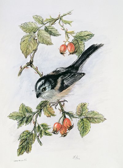 Long-Tailed Tit and Rosehips by Nell Hill